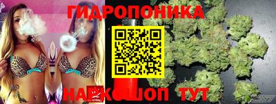 винт Кингисепп